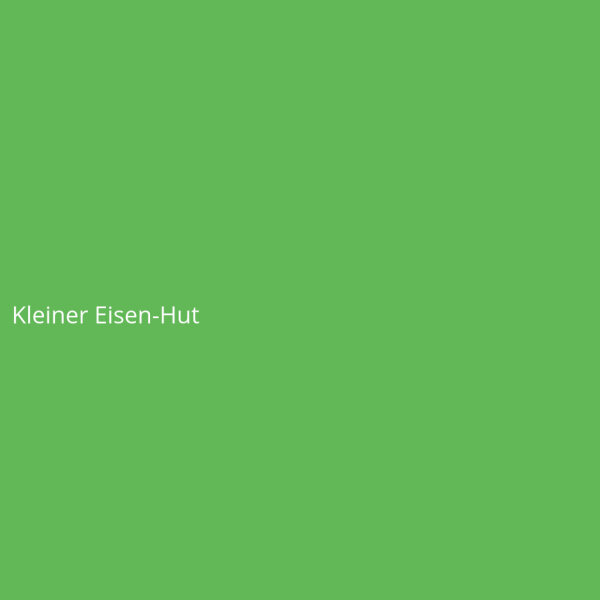 Kleiner Eisen-Hut