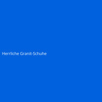 Herrliche Granit-Schuhe